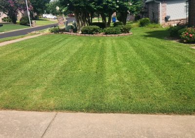 1333x616.jpeg.0afdc36e0c254c2d9ffabd1da163e112 Well-maintained lawn with neatly striped grass and landscaped borders, showcasing APEX Lawn Care's professional lawn care services in Central Arkansas.