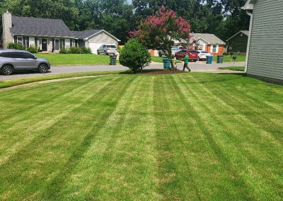1333x616.jpeg.0f9d7111f9174f9a9016f576d5c1578d-2 Lawn care service by APEX Lawn Care showcasing a well-manicured yard with striped grass patterns, a flowering tree, and residential homes in the background.