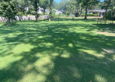 A sunny backyard with tree shadows cast across a well-maintained lawn is an ideal spot for an employee to relax and refresh. - Little Rock Lawn Care and Mowing Services by Apex Lawn Care Lush green lawn showcasing professional lawn care services by APEX Lawn Care in Little Rock, Arkansas, featuring well-maintained grass and shaded areas.
