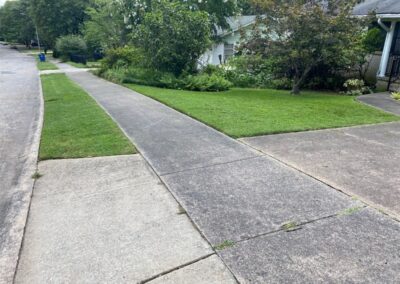 A residential street with a concrete sidewalk, green lawn, and overgrown bushes on a cloudy day. - Little Rock Lawn Care and Mowing Services by Apex Lawn Care A residential street with a concrete sidewalk, green lawn, and overgrown bushes on a cloudy day. - Little Rock Lawn Care and Mowing Services by Apex Lawn Care Your statement doesn't have the word 'person' to be replaced by 'employee'. - Little Rock Lawn Care and Mowing Services by Apex Lawn Care