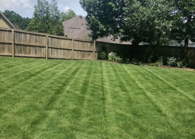 A well-manicured lawn with a wooden fence under a clear sky - Little Rock Lawn Care and Mowing Services by Apex Lawn Care Well-maintained green lawn with striped mowing pattern in a fenced backyard, showcasing APEX Lawn Care services in Little Rock, Arkansas.