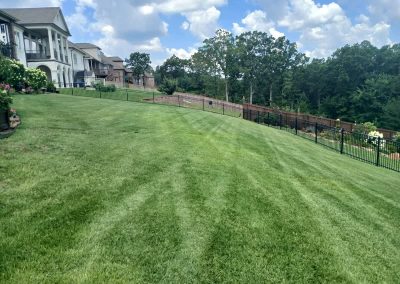 large-13 Lush green lawn with neatly striped grass, showcasing professional lawn care services by APEX Lawn Care in Central Arkansas, featuring a residential backdrop and clear blue sky.