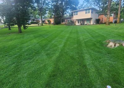 large-14 Lush green lawn with striped mowing pattern and residential home in background, showcasing APEX Lawn Care's professional lawn care services in Central Arkansas.