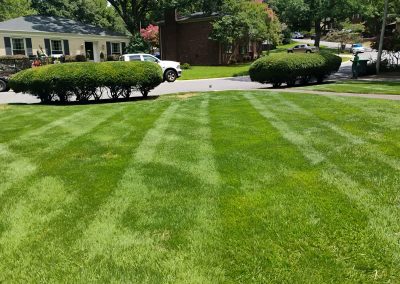 large-18 Lush green lawn with neatly striped grass patterns, showcasing professional lawn care services by APEX Lawn Care in Central Arkansas.