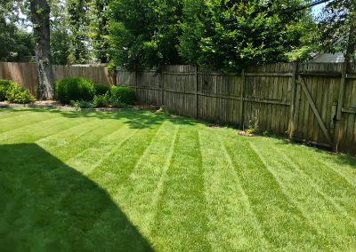 large-23 Lush green lawn with neatly striped grass, showcasing professional lawn care services by APEX Lawn Care in Little Rock, Arkansas.