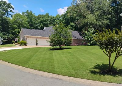 large-24 Lawn care service showcase featuring a well-maintained green lawn and a residential home in Central Arkansas, highlighting APEX Lawn Care's professional landscaping work.