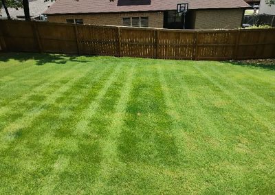 large-27 copy Lush green lawn with neatly striped grass, showcasing professional lawn care services by APEX Lawn Care in Little Rock, Arkansas.