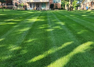 large-7 Lush green lawn with neatly striped grass in a residential yard, showcasing professional lawn care services by APEX Lawn Care in Central Arkansas.