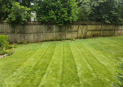 large-8 Lush green lawn with neatly striped grass patterns, showcasing professional lawn care services by APEX Lawn Care in Central Arkansas.