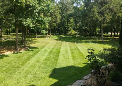 large-9 Lush green lawn with neatly striped grass, surrounded by trees, showcasing professional lawn care services by APEX Lawn Care in Central Arkansas.